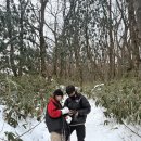 샛별초등정문앞 | 택시기사님이 인정한 레전드 백록담 날씨 등산 후기 [2일차]