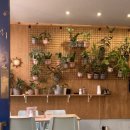 피시랑 놀자 이미지