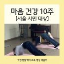 [시민제안강의] 치유명상 | [기업 멘탈케어 출강] 서울 시민 마음 건강 6회기 : 10회기 장기 교육 과정