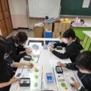 도당중학교 이미지