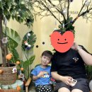 테리베리키즈카페 이미지