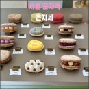 은지세 이미지