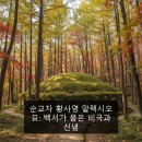 이승훈묘 | 순교자 황사영 알렉시오 묘: 백서가 품은 비극과 신념