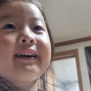 금구 어린이공원 이미지