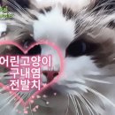 금호동물병원 이미지