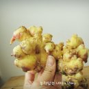 황율농장 이미지