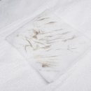 하울라스틱 이미지