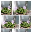 팔덕면사무소 이미지