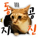 댕댕맛집 이미지