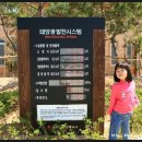 남도 태양광발전소2 이미지