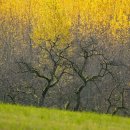 고려행정사합동사무소 이미지