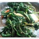 우리콩사랑 이미지