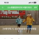 가보세 당구장 | 소노펫 홍천 후기 1 ( 광견병 확인서 꼭꼭.. )
