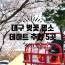 대구 벚꽃 데이트 가볼만한곳 추천 베스트 5 이월드 수성랜드