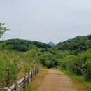 문경새재 당일 버스투어 패키지 후기(ft. 로망스투어)