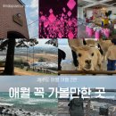 아름다운각게 진주평안점 | [제주도 여행 / 애월] 제주도 애월 여행 2편 | 애월 꼭 가볼 만한 곳 추천 ✨
