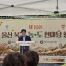 울산북구농도한마당행사 이미지