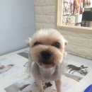 오송프렌즈샵