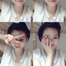 다도연