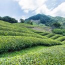 정금리공중화장실 이미지