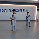 용인대 매교태권도장 이미지