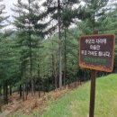 경기해양장 이미지
