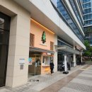 카페 청솔로9 황금점 | 소하동카페 청솔로9 광명G타워점 후기