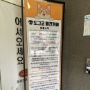 도그코 | [경기광주 도그코] 귀여운 퉁이와 뽀리랑 경안동 애견카페 도그코에 다녀왔어요!