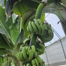 정경식농장 이미지