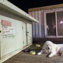 코시롱캔들 | 제주도 성산 게스트하우스 코시롱에서 파티즐기긔+ 아침은 돌문어죽