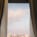 파크선샤인제주 관광호텔 | 한라산 뷰 감성 가득한 서귀포 호텔, 파크선샤인 제주 호텔 숙박 후기