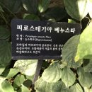 한밭어린왕자 이미지