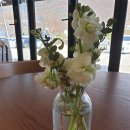 브레드쏭 이미지