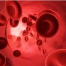 RS피트니스 이미지