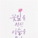 주식회사 비크엔터테인먼트 - 1505 | 주식회사 비크엔터테인먼트