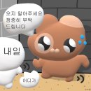 쩐술 이미지