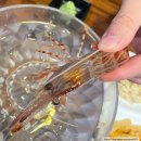 인하선생 | 강릉 이자카야 블루리본 맛집 인하선생 꽃새우 후기