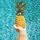 파인애플 이미지