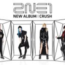 YG엔터테인먼트 카카오 검색결과