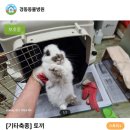 삼산종합동물병원 이미지