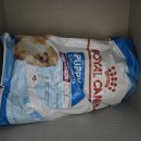 로얄퍼피 | 🐶 로얄캐닌 인도어 퍼피 사료 후기｜실내견 강아지 사료로 선택한 이유