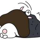 어몽트리그림공간