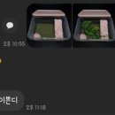 한국이색반려동물박람회 이미지