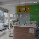 숲속동물병원 | 시흥동물병원 숲속동물병원 시흥 고양이 전문