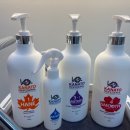 동익상가화장품 | 마곡역 은결하다 하운디렉터 프리미엄 카나토 클리닉 후기