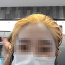 엔플럼 이미지