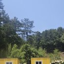 태허정로 | 경기도 광주 율봄식물원 봄나들이 후기｜작년에 다녀온 힐링 정원 코스 + 강마을 다람쥐 점심 추천