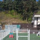 경포딩가펜션 이미지