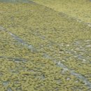 내남농협 하나로마트 이미지