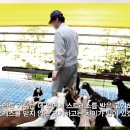 녹색흑염소(주) 이미지